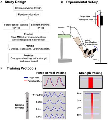 Force-Control vs. Strength Training: The Effect on Gait Variability in Stroke Survivors